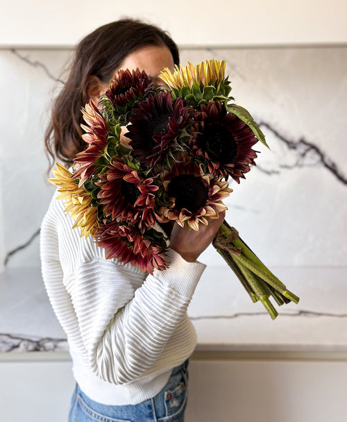 Plum Sunflowers (9 stems)