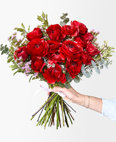 Ruby Red Ranunculus (16+ stems)