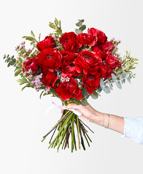 Ruby Red Ranunculus (16+ stems)