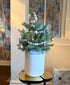 Rockin' Around Holiday Tree (White pot)