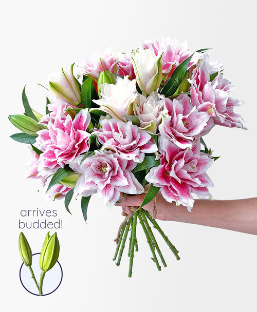 Actua-lily Obsessed (7 stems, 17+ blooms)