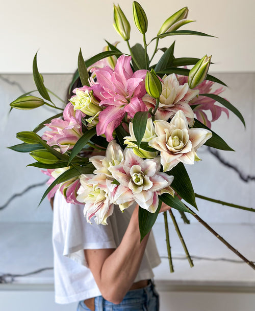 Lily Into You (6 stems, 22+ blooms)