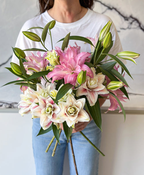 Lily Into You (6 stems, 22+ blooms)
