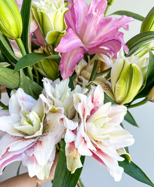 Lily Into You (6 stems, 22+ blooms)