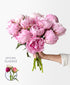 Sarah B's Peonies (12 Stems)