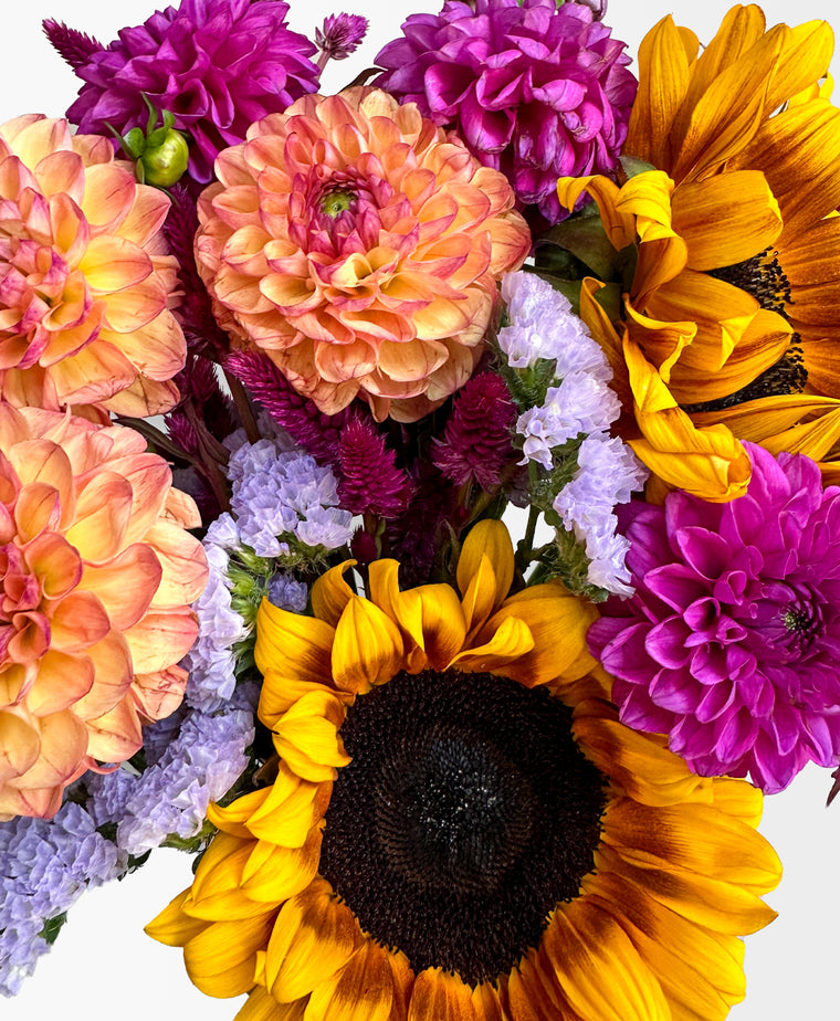 Same Day Flower Delivery Toronto | Tonic Blooms