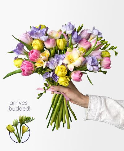 Hoppy Days (Grower's mix, 30 stems)