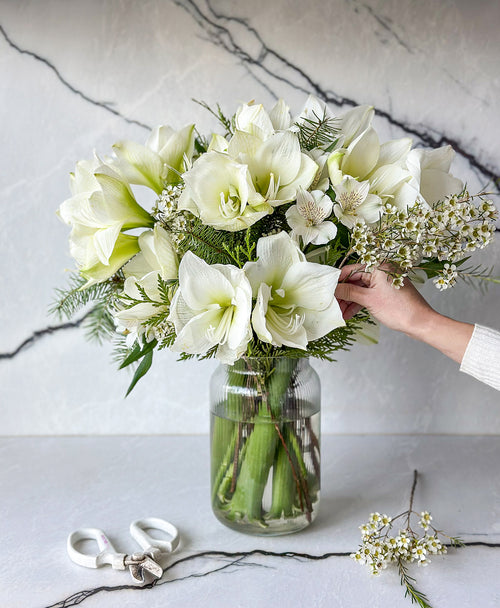 Snowed In (14+ blooms, arrives in vase)
