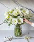 Snowed In (14+ blooms, arrives in vase)