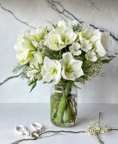 Snowed In (14+ blooms, arrives in vase)