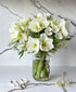 Snowed In (14+ blooms, arrives in vase)