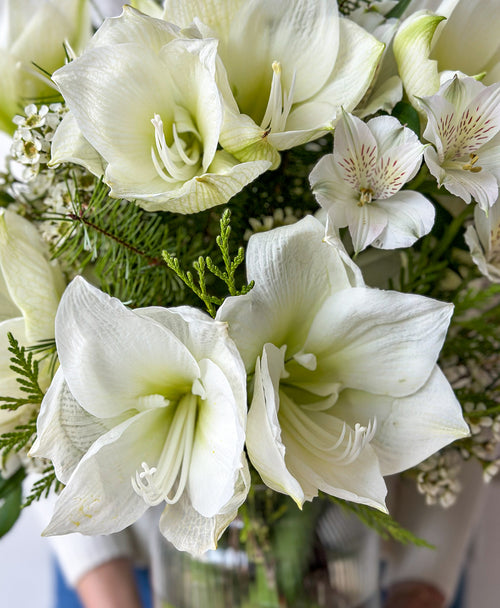 Snowed In (14+ blooms, arrives in vase)