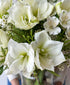 Snowed In (14+ blooms, arrives in vase)