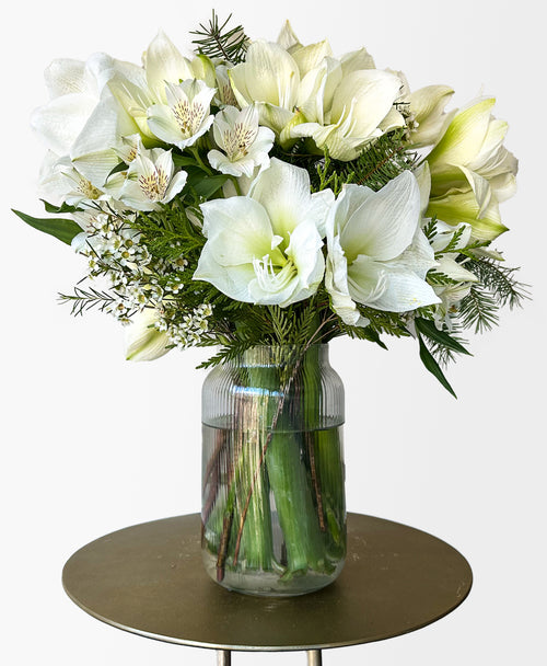 Snowed In (14+ blooms, arrives in vase)