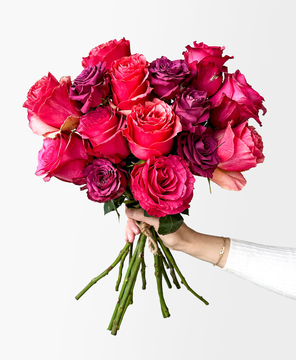Buy Winter Warmup Roses 15 Stems | Tonic Blooms
