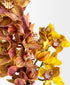 Honey Mix Cymbidium (3 stalks, 25+ blooms)