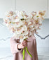 Simply White Cymbidium (3 stalks, 24+ blooms)