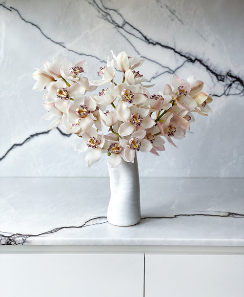 Simply White Cymbidium (3 stalks, 24+ blooms)