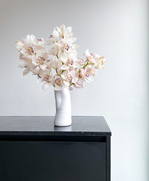 Simply White Cymbidium (3 stalks, 24+ blooms)