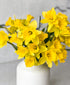 Sunny Daffodils (in vase)