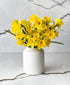 Sunny Daffodils (in vase)