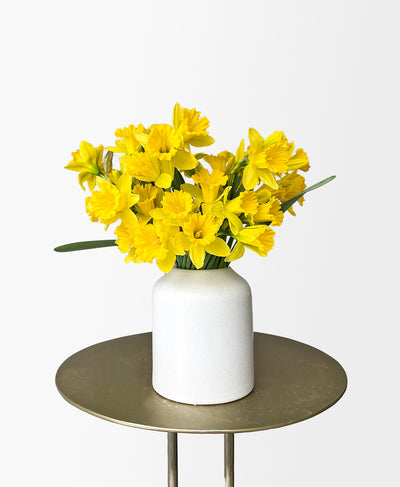 Sunny Daffodils (in vase)