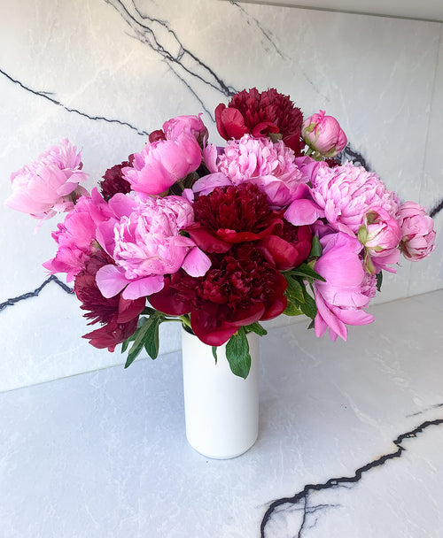 DOUBLE Peo-need 'em! (24 Stems)