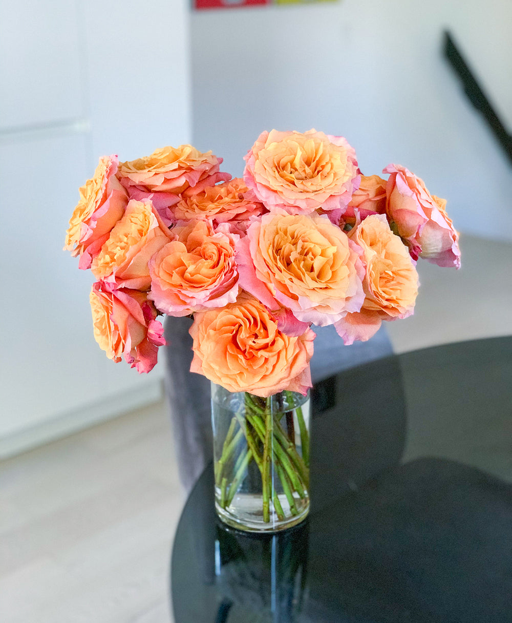 Shop Free Spirit Roses (15 Stems) | Tonic Blooms