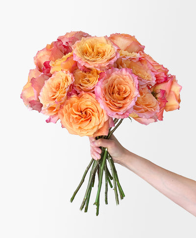 Free Spirit Roses (15 stems)