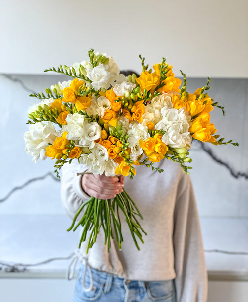 Be a Pineapple Freesia (40 stems, 80+ blooms)