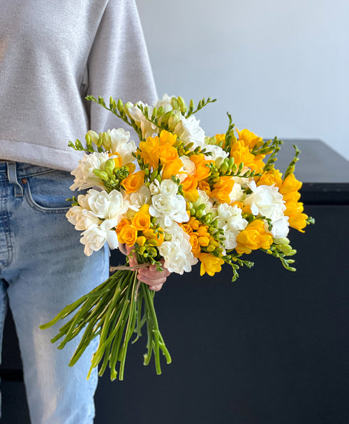 Be a Pineapple Freesia (40 stems, 80+ blooms)