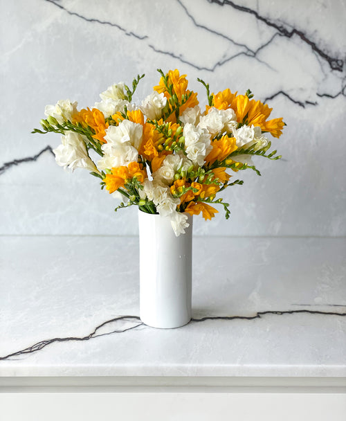 Be a Pineapple Freesia (40 stems, 80+ blooms)
