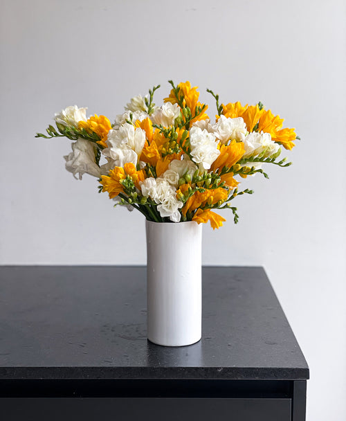 Be a Pineapple Freesia (40 stems, 80+ blooms)