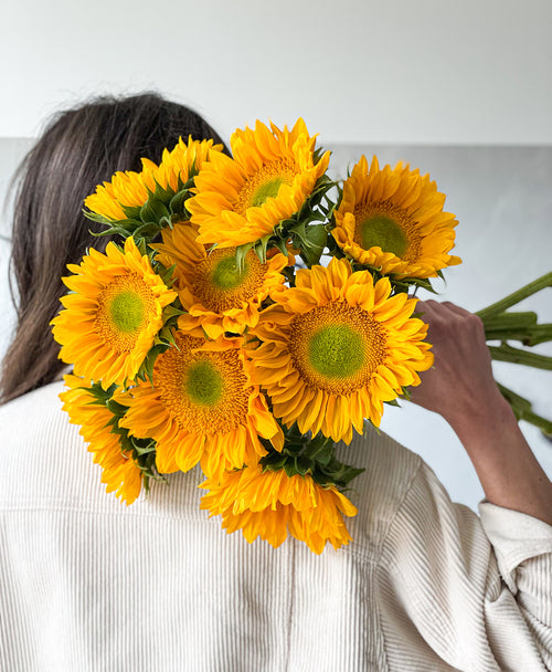Golden Sunflowers (9 stems)