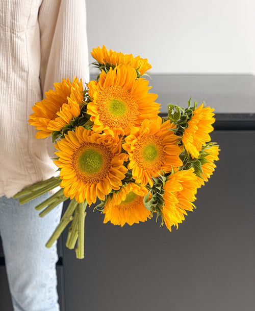 Golden Sunflowers (9 stems)