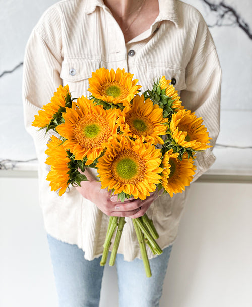 Golden Sunflowers (9 stems)