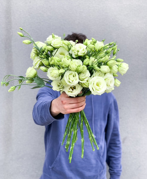 The Lizzo (20 stems)