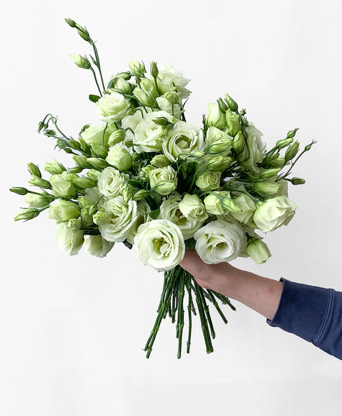 The Lizzo (20 stems)