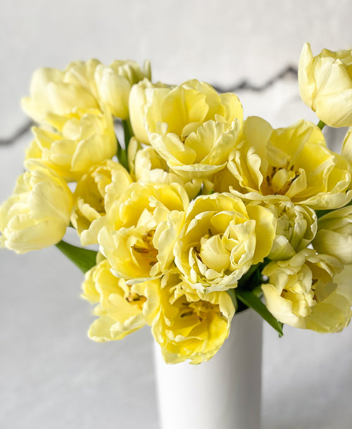 Mellow Yellow Double Tulips (20 stems)