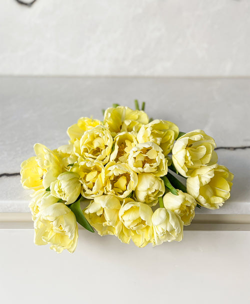 Mellow Yellow Double Tulips (20 stems)