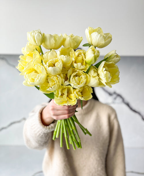 Mellow Yellow Double Tulips (20 stems)