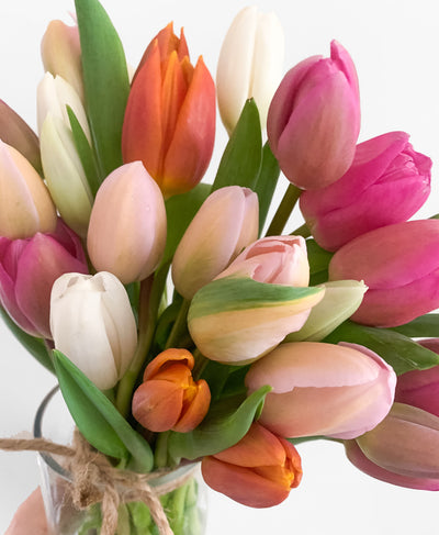 Spring Tulip Mix (30 stems)