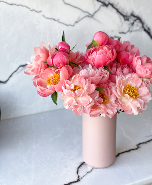 Double Coral Sunset Peonies (20 Stems)
