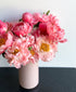 Double Coral Flamingo Peonies (20 stems)