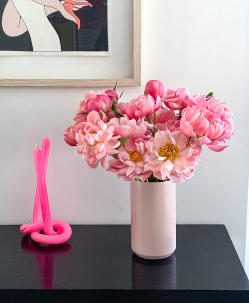 Double Coral Sunset Peonies (20 Stems)