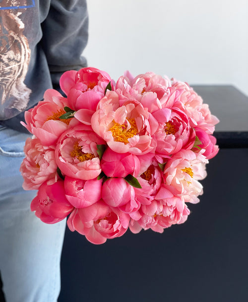 Double Coral Sunset Peonies (20 Stems)