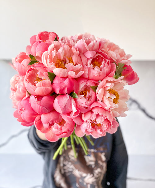 Double Coral Flamingo Peonies (20 stems)