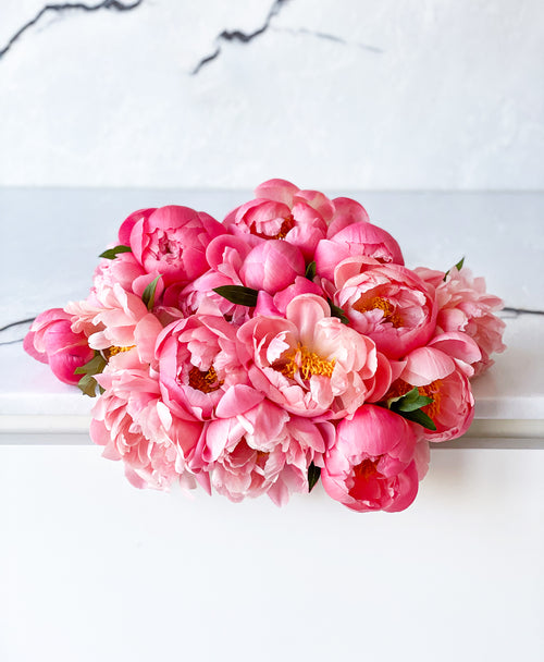 Double Coral Sunset Peonies (20 Stems)