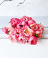 Double Coral Sunset Peonies (20 Stems)