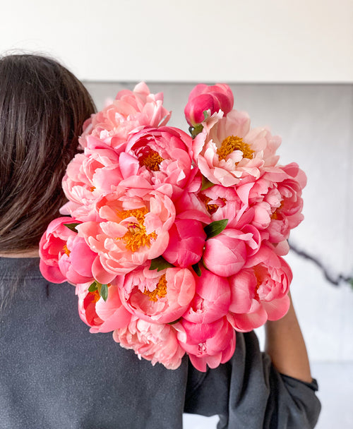 Double Coral Sunset Peonies (20 Stems)